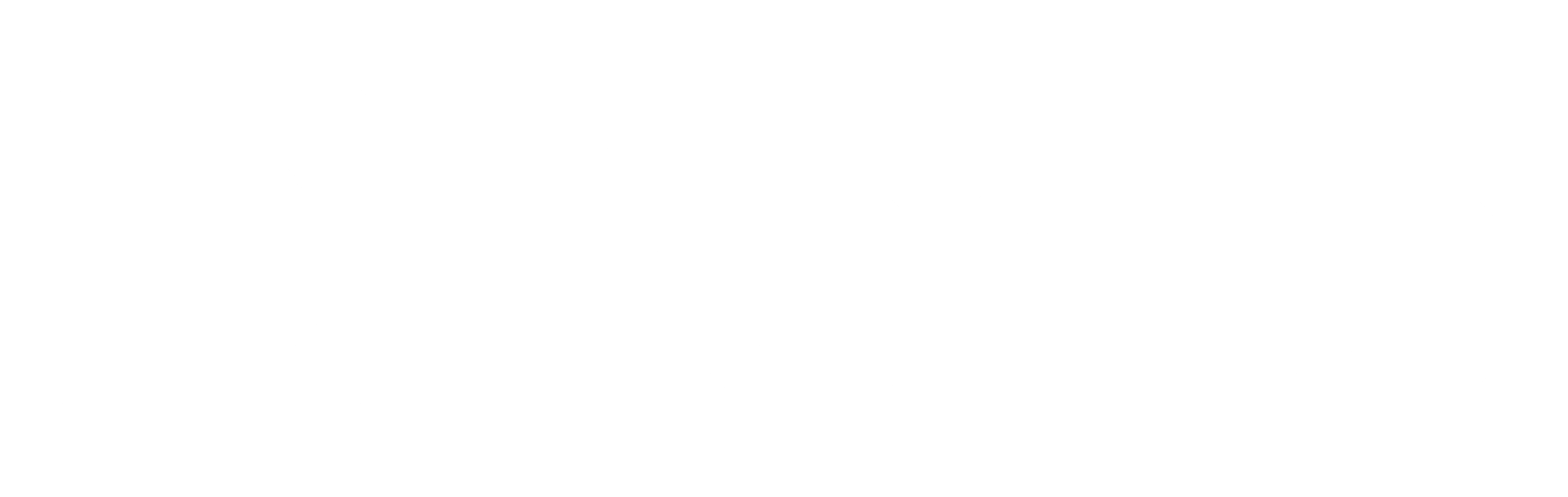 Porto Seguro Logo